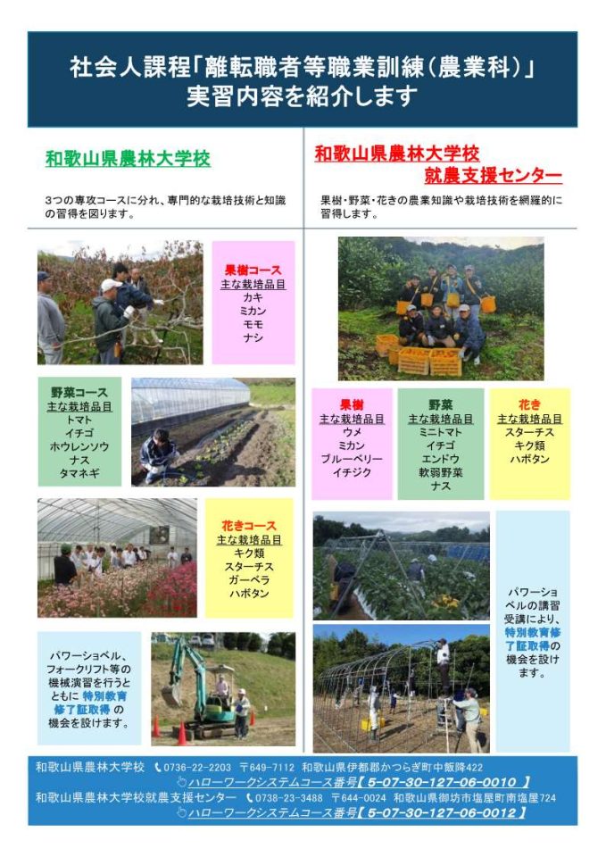チラシ：R7社会人課程（裏）